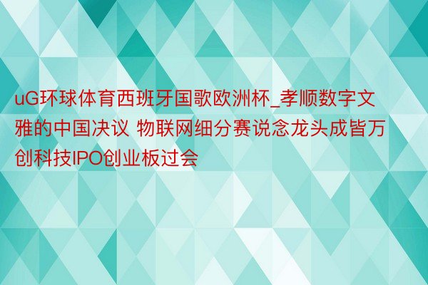 uG环球体育西班牙国歌欧洲杯_孝顺数字文雅的中国决议 物联网细分赛说念龙头成皆万创科技IPO创业板过会