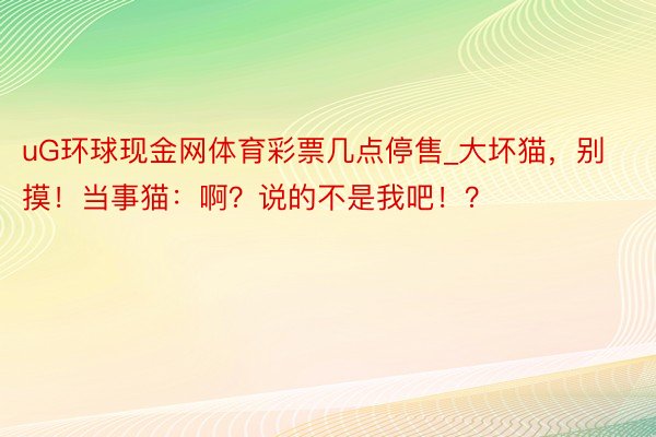 uG环球现金网体育彩票几点停售_大坏猫，别摸！当事猫：啊？说的不是我吧！？